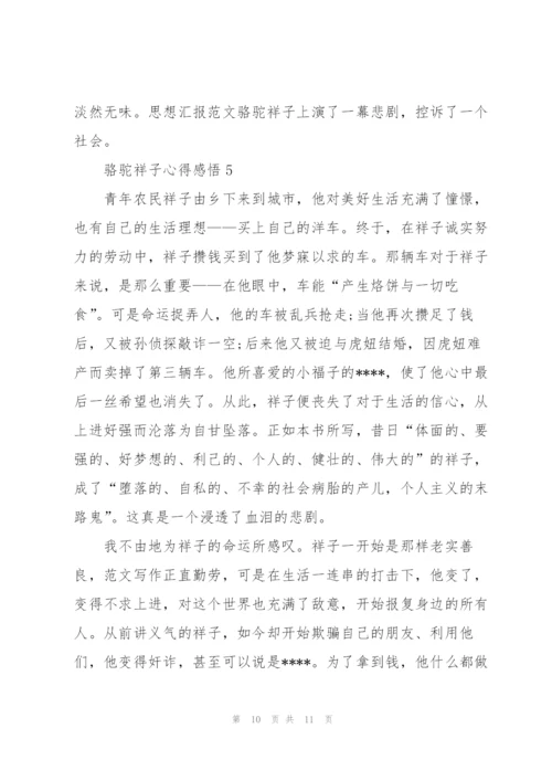 骆驼祥子学生心得感悟5篇.docx