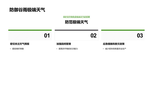 谷雨节气的农业影响