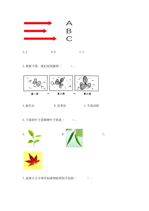 教科版一年级上册科学期末测试卷及一套答案.docx