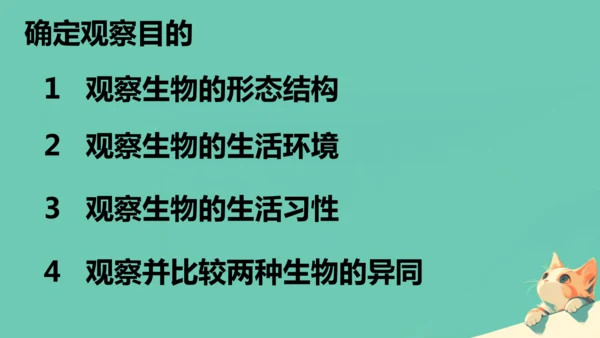人教版（2024）七年级上册1.1.1 观察周边环境中的生物 课件(共20张PPT)