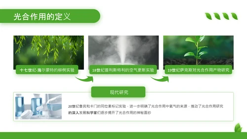 绿色清新风植物的光合作用PPT模板