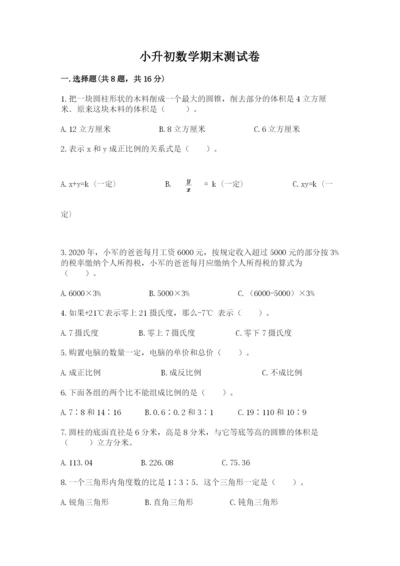 小升初数学期末测试卷精品（巩固）.docx