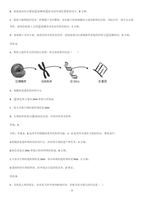 人教版初中生八年级下册第七单元生物圈中生命的延续和发展典型例题.docx