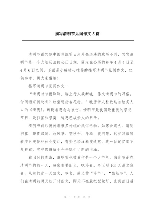描写清明节见闻作文5篇.docx