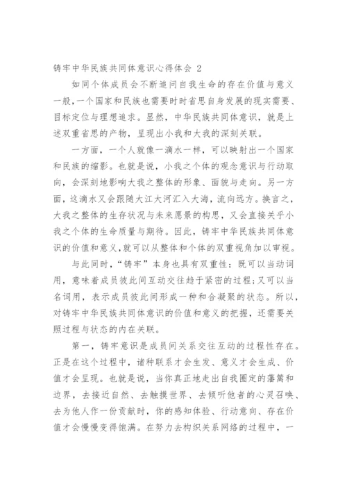 铸牢中华民族共同体意识心得体会范文.docx