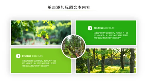 绿色环保森林湿地环境保护生态森林业PPT模板