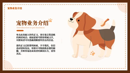 宠物染色宣传推广介绍通用PPT模板