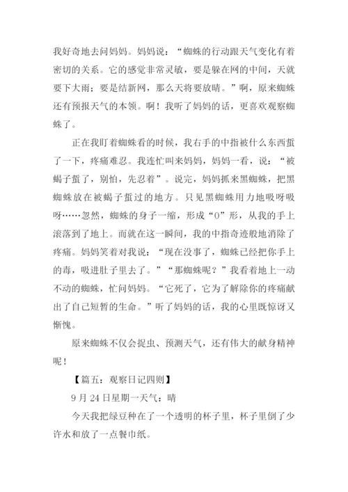 四年级作文观察日记-1.docx
