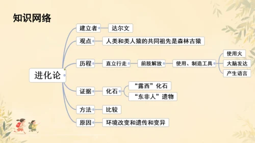 初中生物学人教版（新课程标准）七年级下册4.1.1 人的起源和发展课件(共18张PPT)