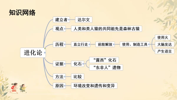 初中生物学人教版（新课程标准）七年级下册4.1.1 人的起源和发展课件(共18张PPT)