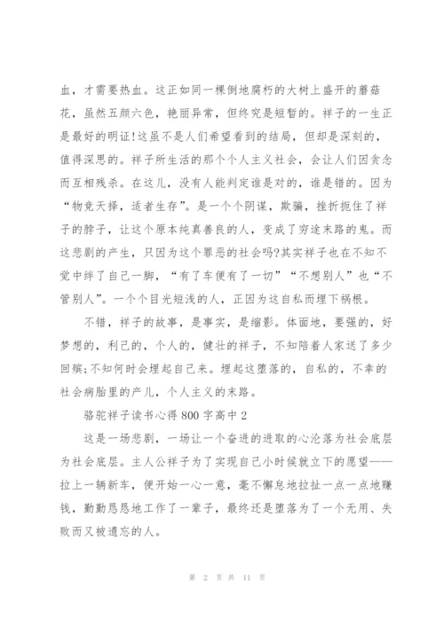 骆驼祥子读书心得800字高中生5篇.docx