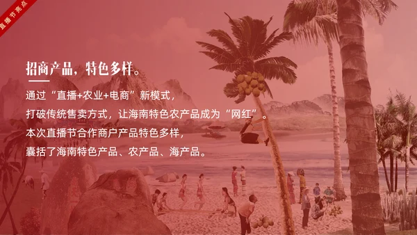 网红主播直播带货电商助力扶贫PPT模板