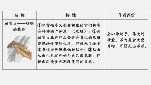 八年级上册语文第五单元 名著导读 《昆虫记》 课件
