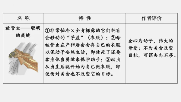 八年级上册语文第五单元 名著导读 《昆虫记》 课件