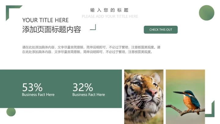 人与自然大熊猫活动宣传通用PPT模板