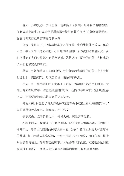 仰望大树初二作文