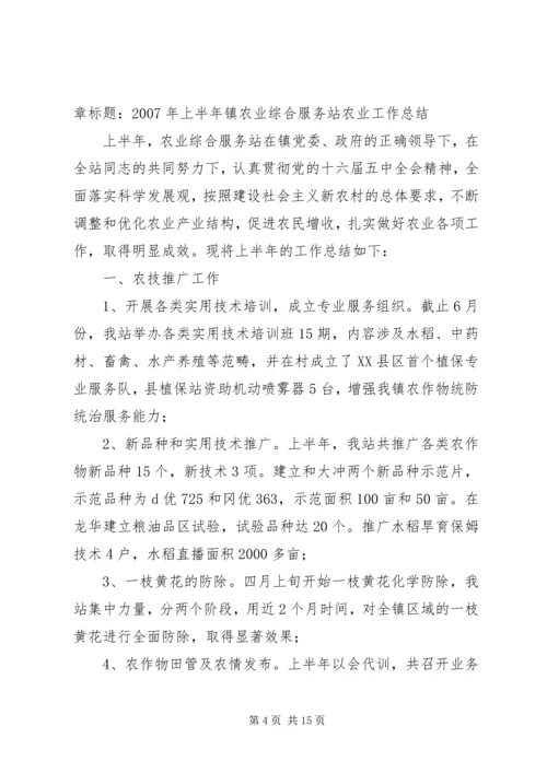 佛楼镇农业服务站.docx