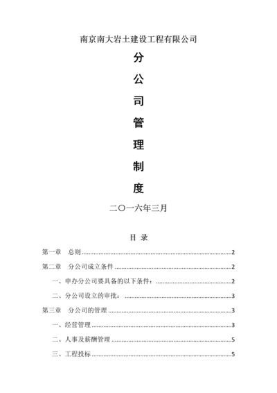 分公司管理制度.docx