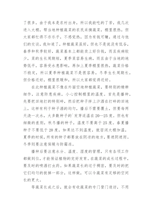 农村发展硕士实践报告.docx