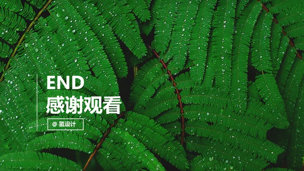 绿色环保自然环境公益知识绿叶通用PPT模板