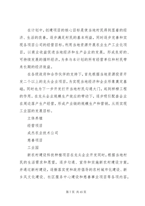 新农村建设计划书.docx