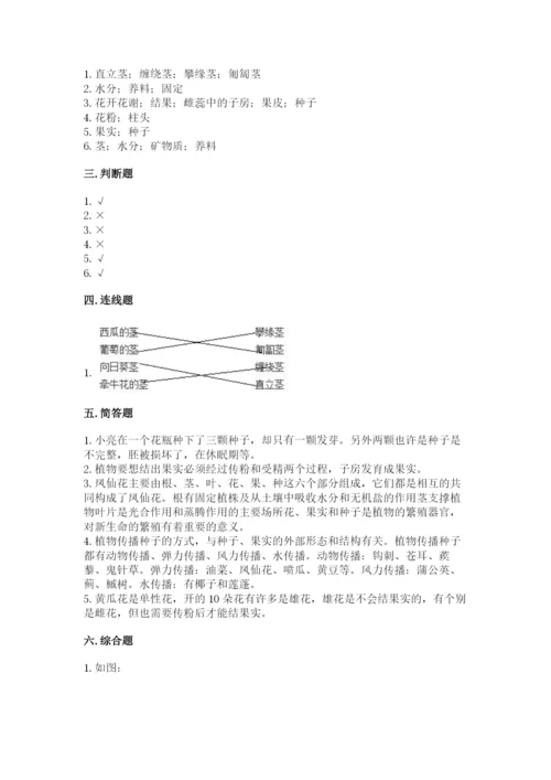 教科版四年级下册科学第一单元《植物的生长变化》测试卷有精品答案.docx