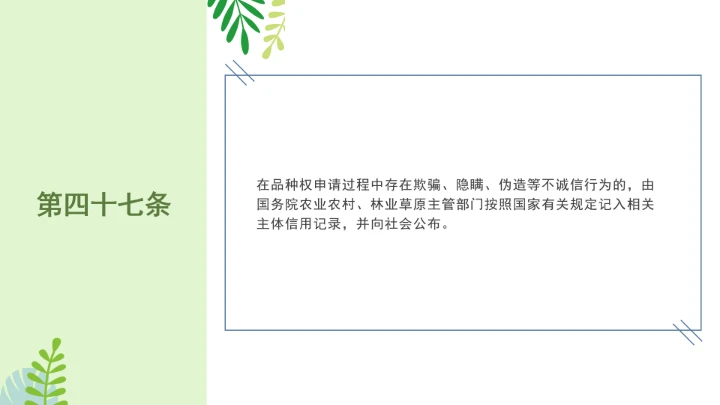 普法全文学习2025年4月新修订《中华人民共和国植物新品种保护条例》PPT课件