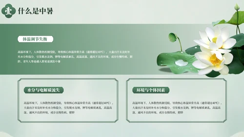 绿色清新夏季防暑降温健康指南PPT模板