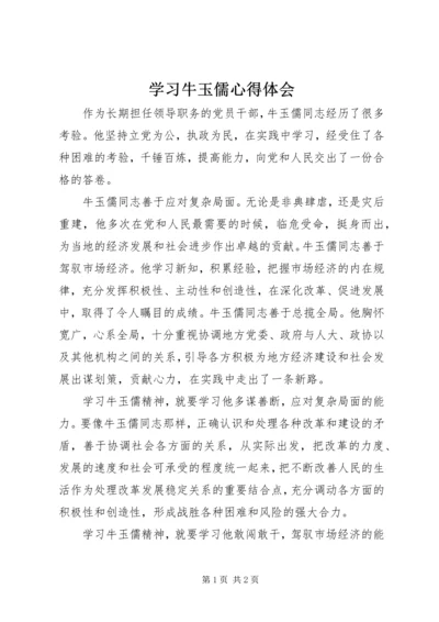 学习牛玉儒心得体会 (3).docx