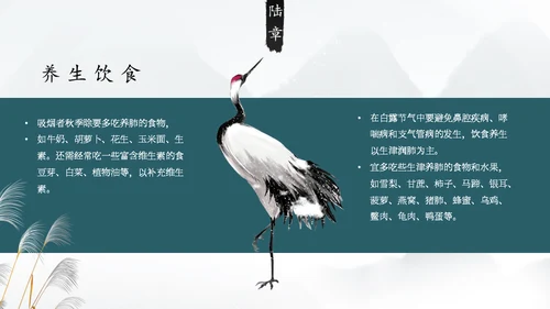 白露白鹤通用PPT模板