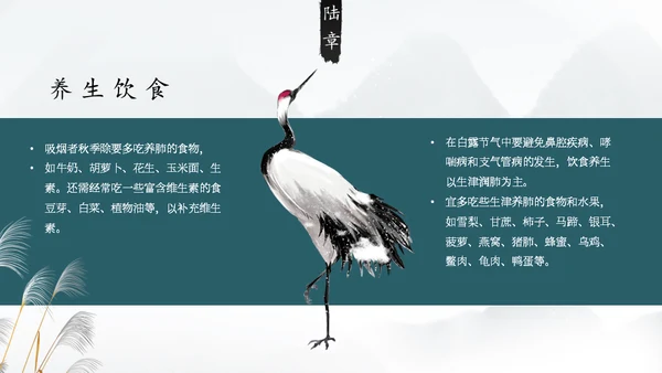 白露白鹤通用PPT模板