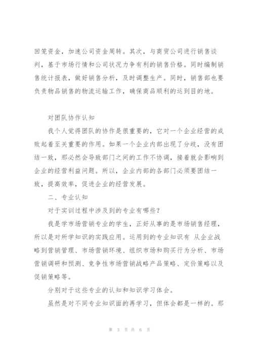 市场营销经理个人总结报告.docx