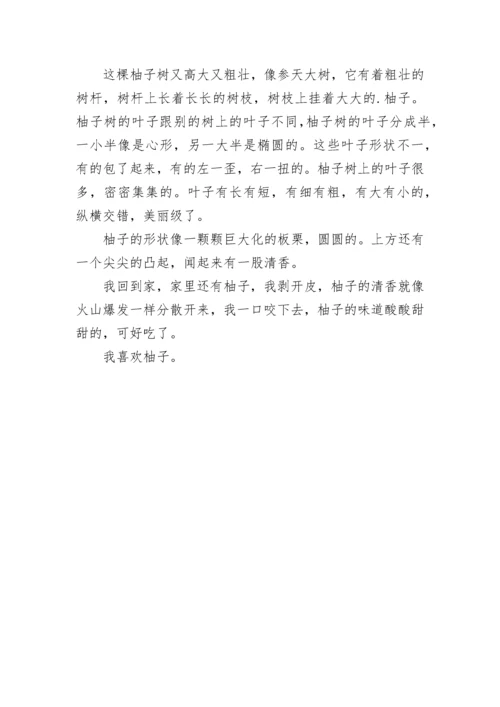 三年级我们眼中的缤纷世界作文300字范文10篇.docx