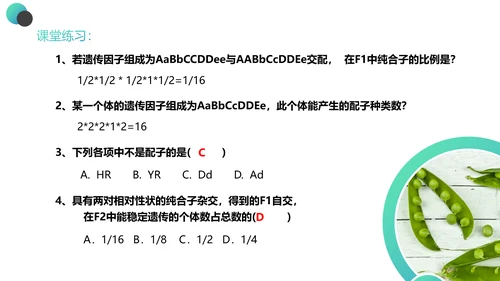 高中生物豌豆杂交实验PPT课件