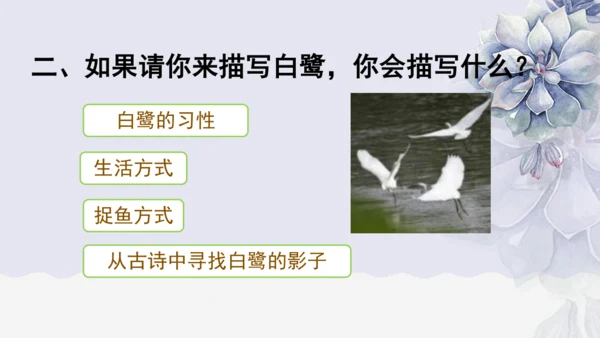 《1 白鹭》课件