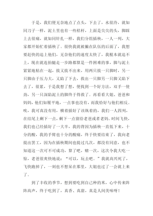 一次难忘的实践作文-2.docx