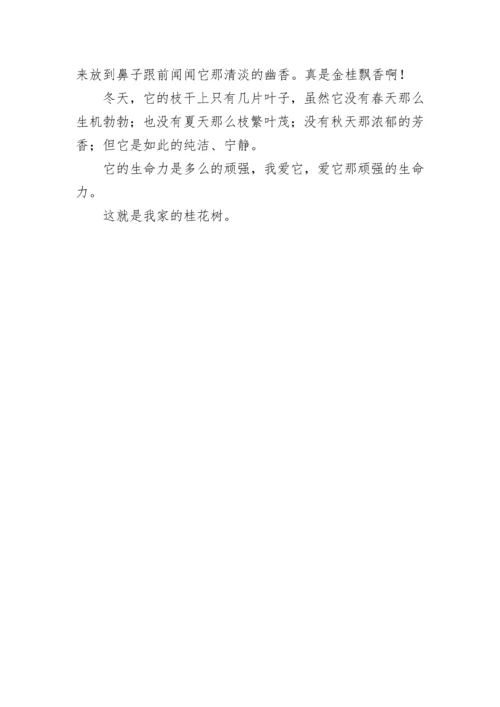 有关我的植物朋友优秀三年级作文（7篇）.docx