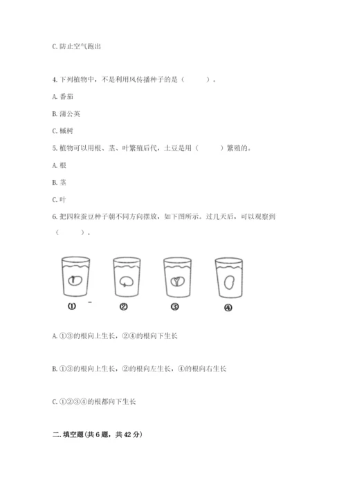 科学四年级下册第一单元《植物的生长变化》测试卷精品（名校卷）.docx