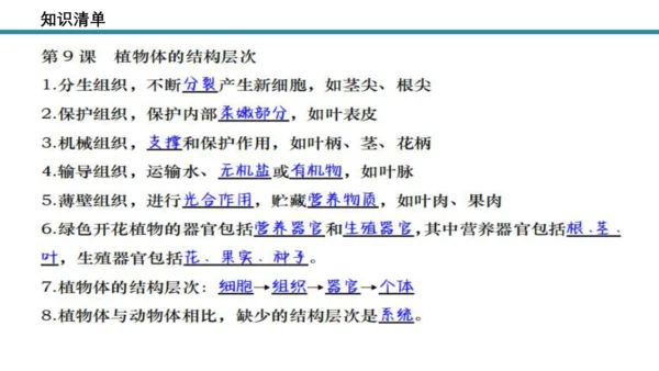 人教版生物七年级上册第一单元《生物与细胞》单元复习课件(共53张PPT)