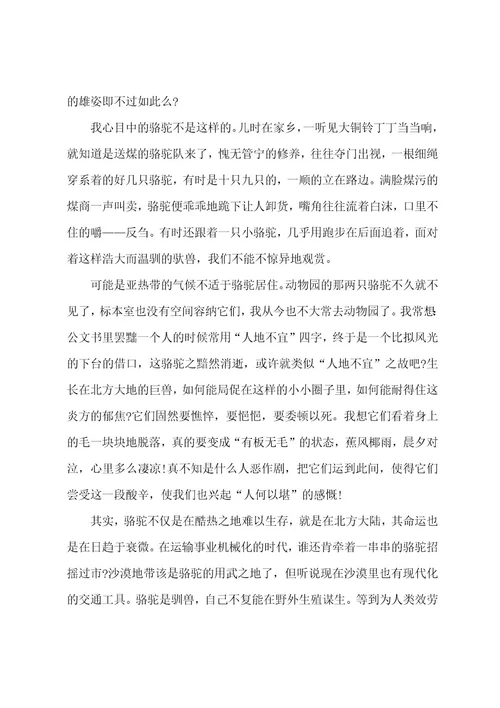 骆驼说明文阅读题目答案