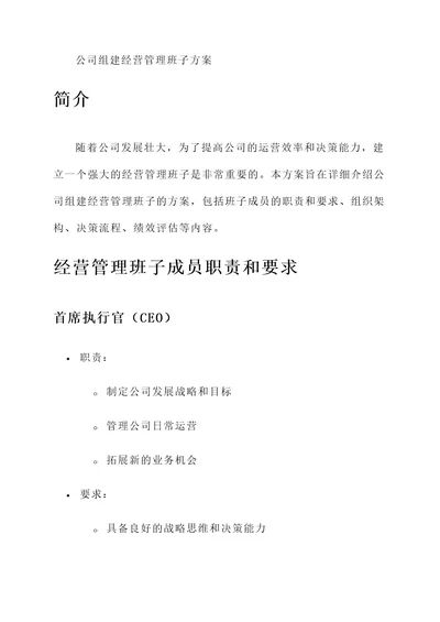 公司组建经营管理班子方案