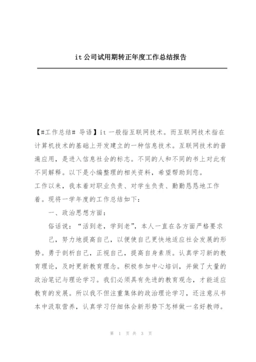 it公司试用期转正年度工作总结报告.docx