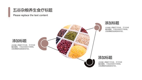 传统五谷杂粮养生食疗农产品介绍PPT模板