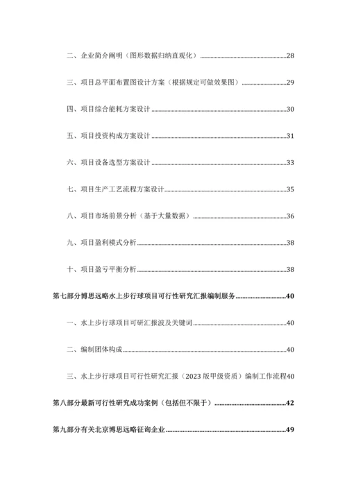 水上步行球项目可行性研究报告发改立项备案最新案例范文详细编制方案.docx