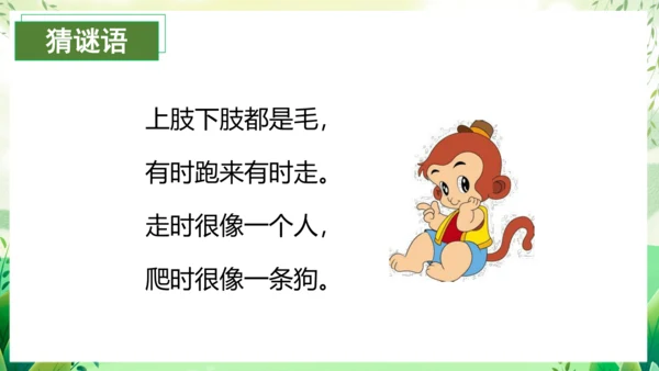 17小猴子下山（教学课件）