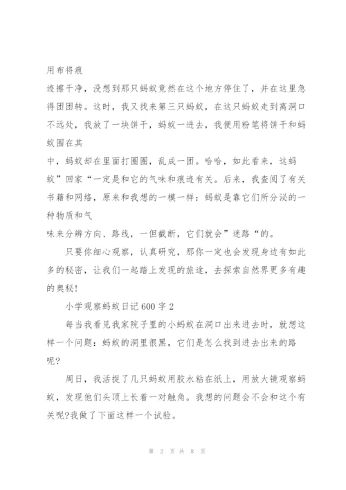 小学观察蚂蚁日记600字5篇.docx