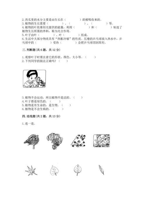 教科版科学一年级上册第一单元《植物》测试卷附参考答案【精练】.docx