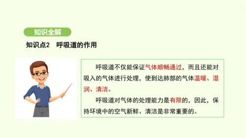 第四单元-第三章-第一节-呼吸道对空气的处理课件-2024-2025学年七年级生物下学期人教版(20