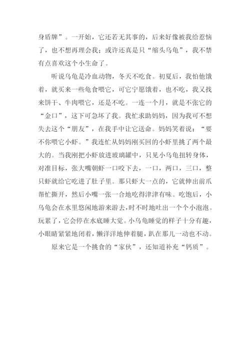周记500字初一0.docx