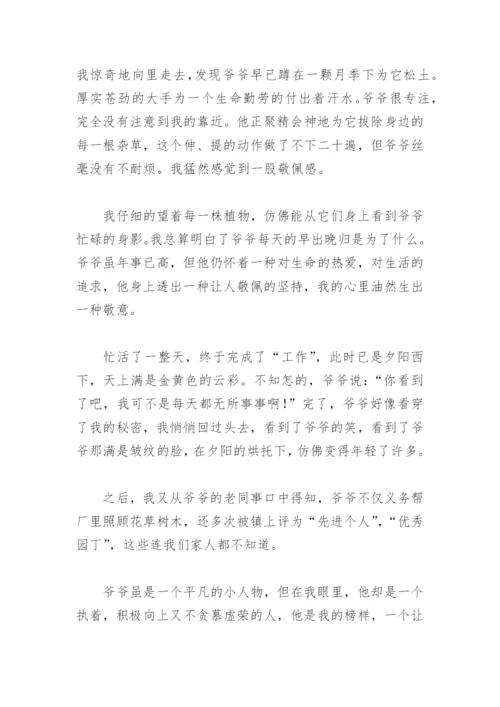 凡人小事的作文(精选20篇).docx